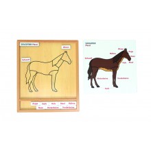 Farbiges Tierpuzzle-Aktivitätsset - Pferd - Deutsch