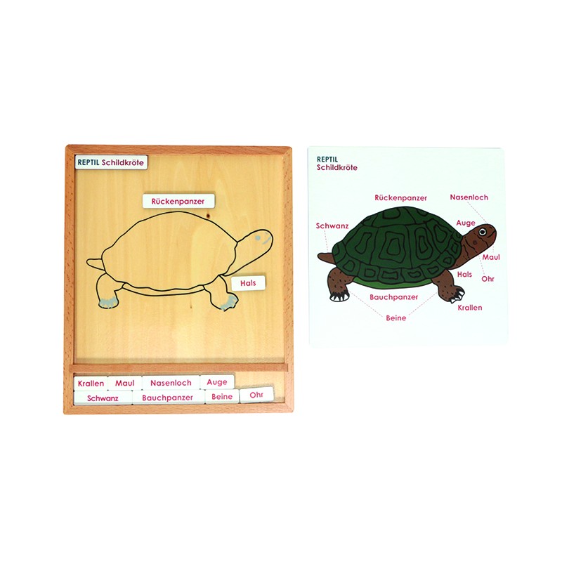 Colorful Animal Puzzle Activity Set - Turtle - German