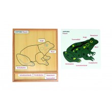 Farebné zvieracie puzzle aktivity - žaba - nemčina