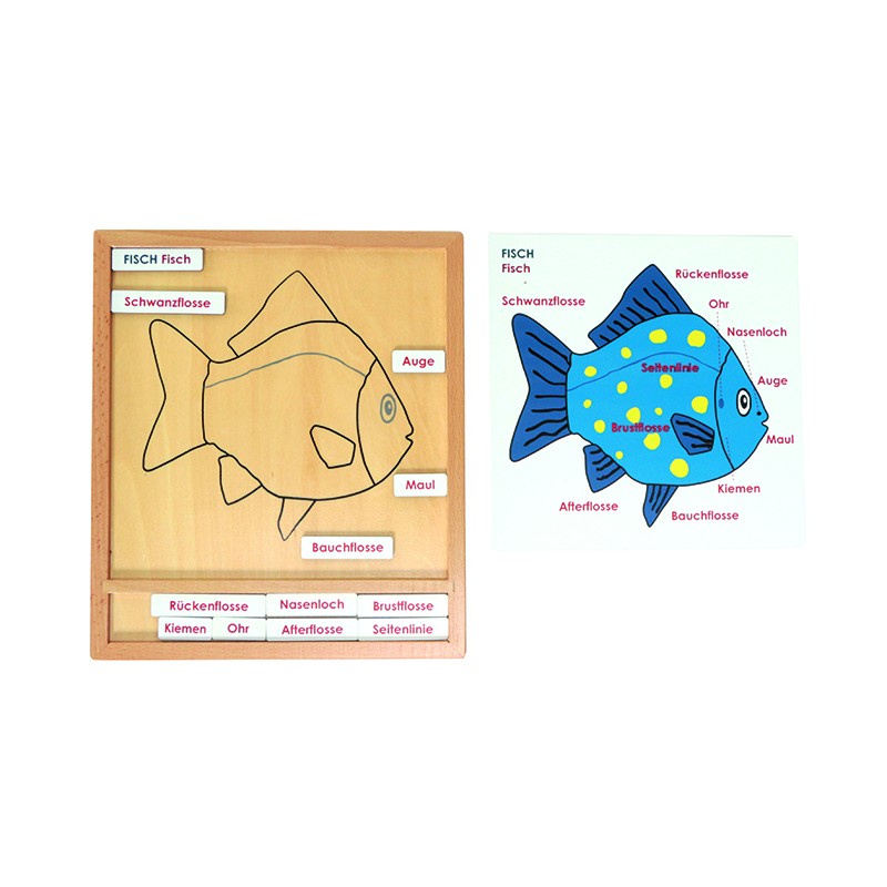 Farebné zvieracie puzzle-aktivity set - ryba - nemčina