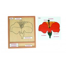 Farebné botanické puzzle aktivity - Kvet - Nemčina
