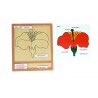 Colored botany puzzle activity set-flower - German Colored botany puzzle activity set-flower - German