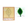 Colored botany puzzle activity set-leaf - German Colored botany puzzle activity set-leaf - German