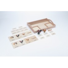 animal family - chicken - English