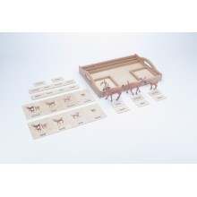 animal family - deer - English