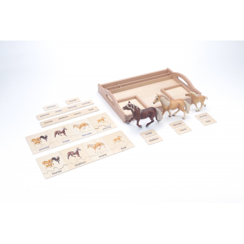 Tierfamilie - Pferd - Englisch Tierfamilie - Pferd - Englisch