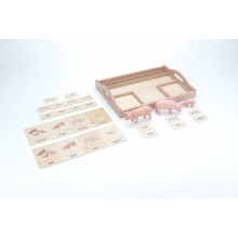 Tierfamilie - Schwein - Englisch