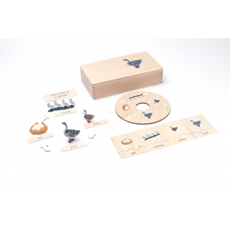 Life Cycle - goose - working material - english