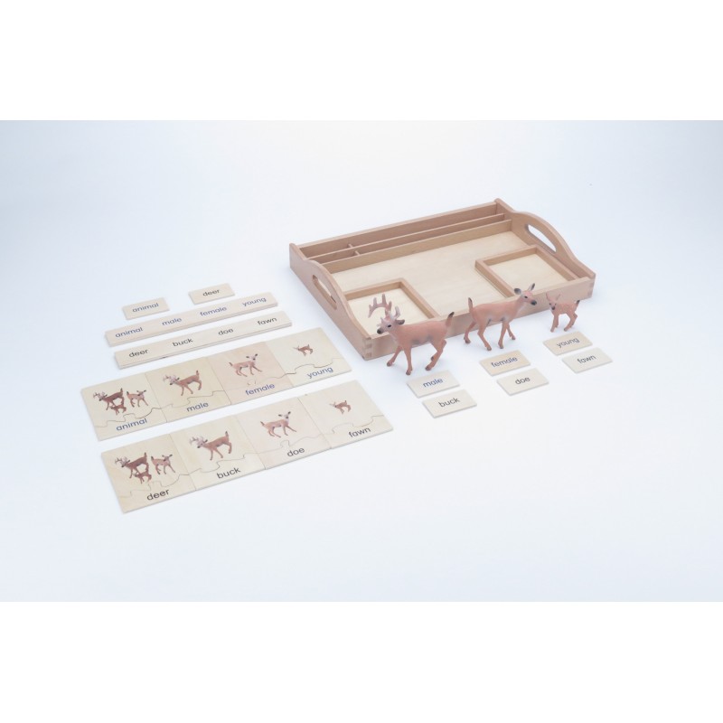 copy of Tierfamilie - Kuh - Englisch copy of Tierfamilie - Kuh - Englisch