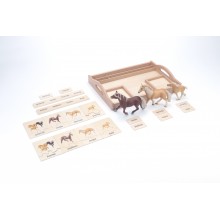 animal family - horse - German