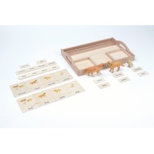 animal family - dog - German