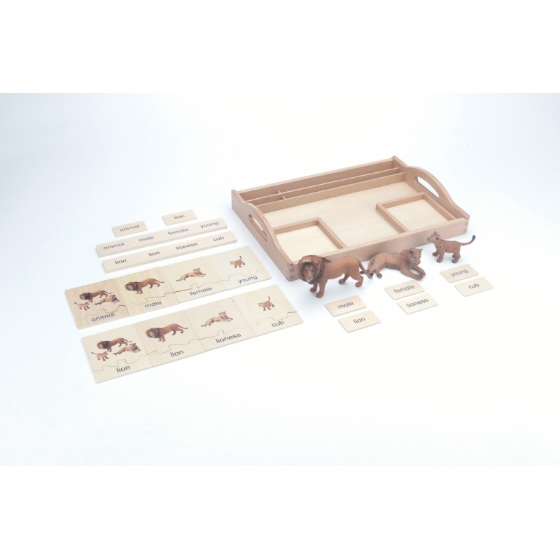 copy of Tierfamilie - Kuh - Englisch copy of Tierfamilie - Kuh - Englisch