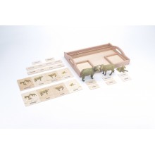 animal family - sheep - German