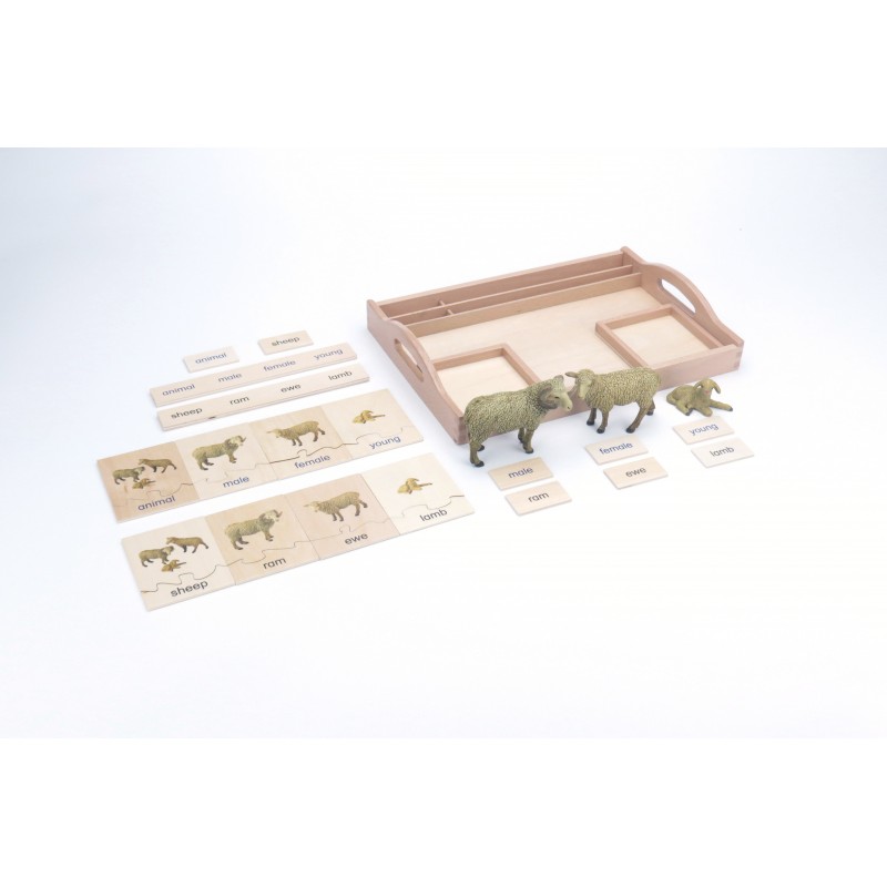 Tierfamilie - Schaf - Deutsch Tierfamilie - Schaf - Deutsch