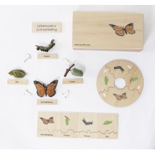 Life Cycle Set of a Butterfly - German/English