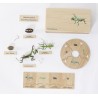 Life Cycle Set of a Mantis - German/English