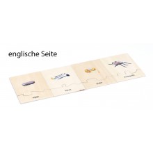 Životný cyklus - komár - pracovný materiál - nemčina/angličtina