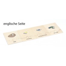 Životný cyklus - Morské korytnačky - Pracovný materiál - Nemčina/Angličtina