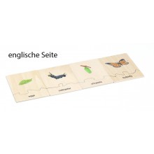 copy of Lebenszyklus - Schmetterling - Arbeitsmaterial - Deutsch