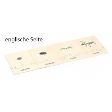Life Cycle Set of a Mantis - German/English
