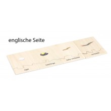 Life Cycle Set of a Centipede - German/English