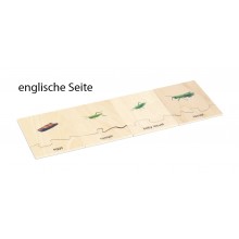 Životný cyklus - kobylka - pracovný materiál - nemčina/angličtina