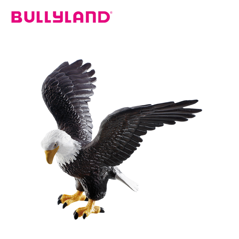 Bald Eagle Bald Eagle