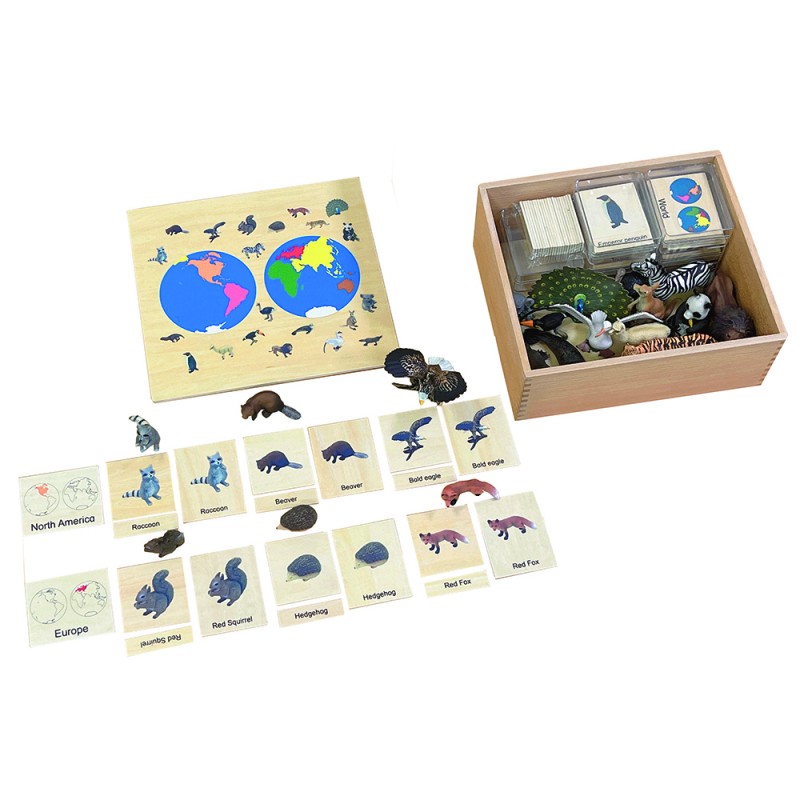 Continent box - Animals