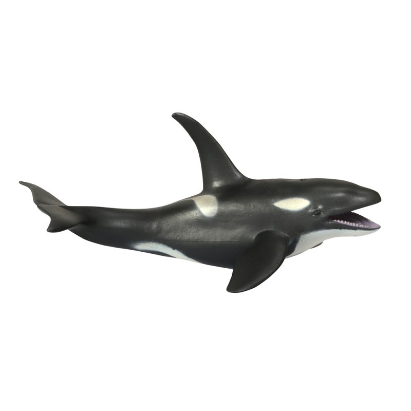 Klassifikationskarten - Deutsch + Tiere aus Polarregionen Klassifikationskarten - Deutsch + Tiere aus Polarregionen