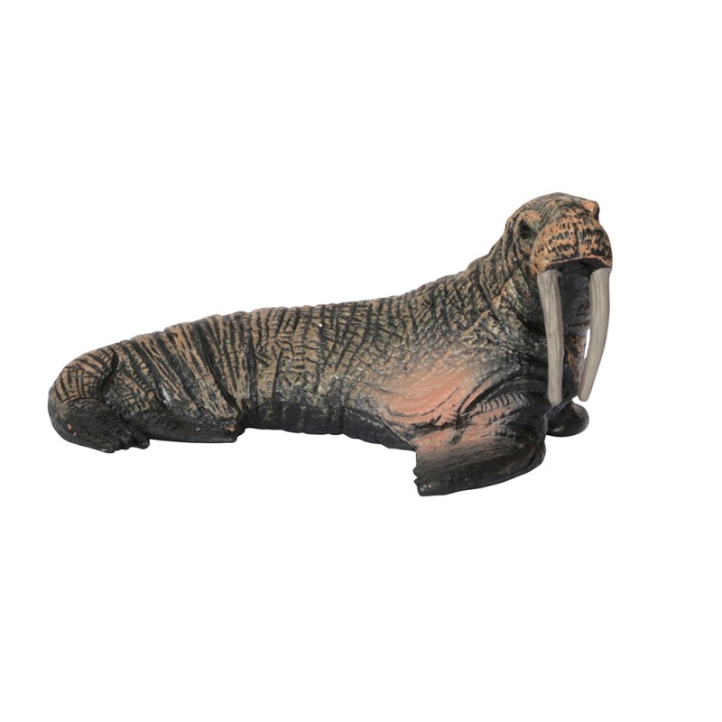 Tiere aus Ozeane Tiere aus Ozeane