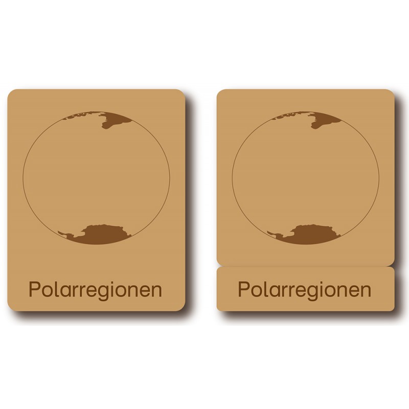 Klassifikationskarten - Deutsch + Tiere aus Polarregionen Klassifikationskarten - Deutsch + Tiere aus Polarregionen