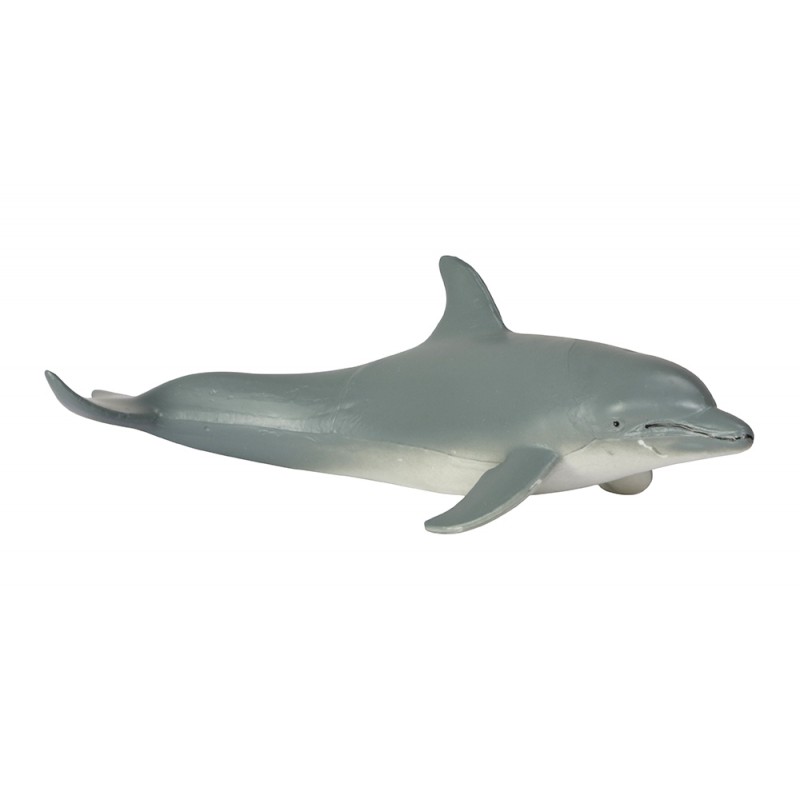 Klassifikationskarten - Deutsch + Tiere der Ozeane Klassifikationskarten - Deutsch + Tiere der Ozeane