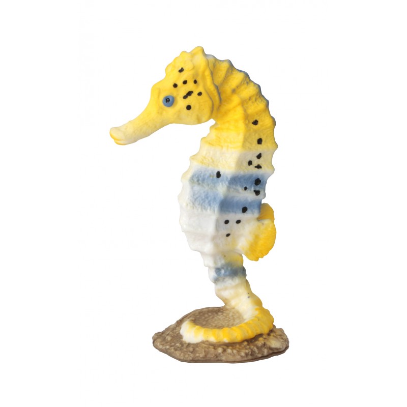 Tiere aus der Polarregion Tiere aus der Polarregion