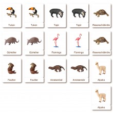 Klassifikationskarten - Deutsch + Tiere aus Südamerika