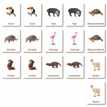 Tiere aus Südamerika