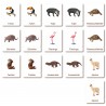 Tiere aus Südamerika