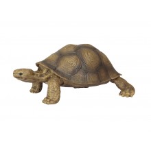 Tiere aus Südamerika