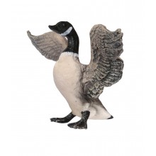 Tiere aus Nordamerika