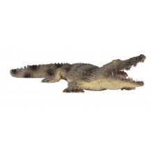 Tiere aus Nordamerika