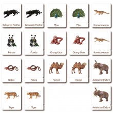 Klassifikationskarten - Deutsch + Tiere aus Asien