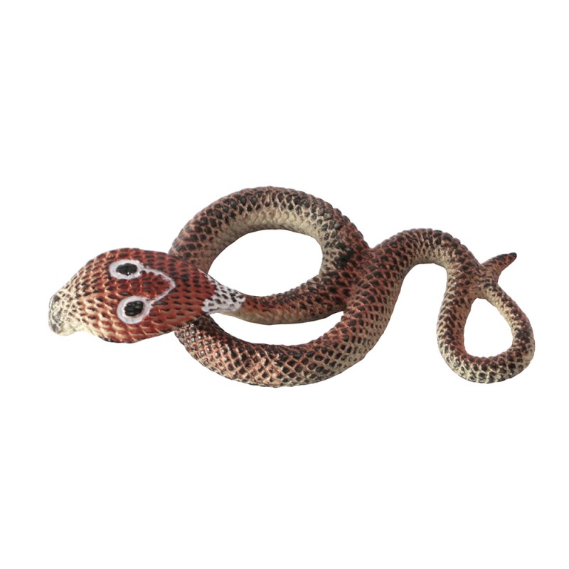 Tiere aus Asien Tiere aus Asien