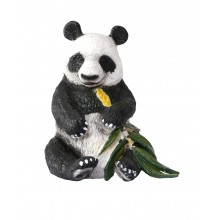 Klassifikationskarten - Deutsch + Tiere aus Asien