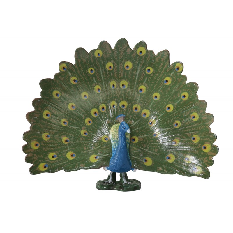 Tiere aus Asien Tiere aus Asien