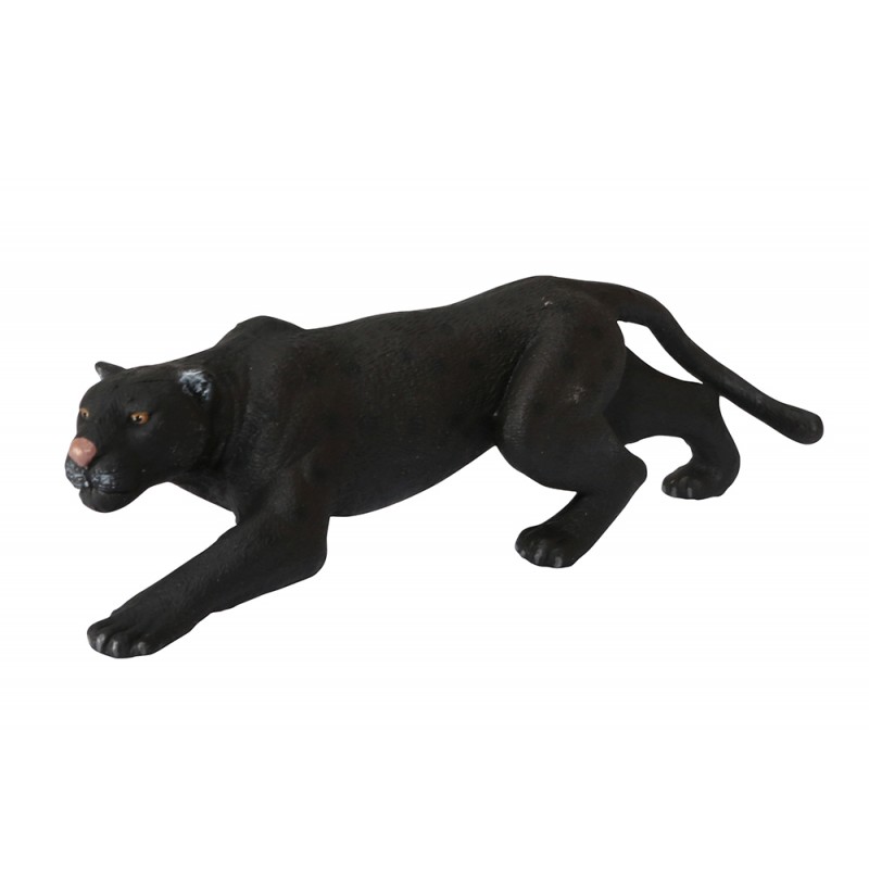 Tiere aus Asien Tiere aus Asien