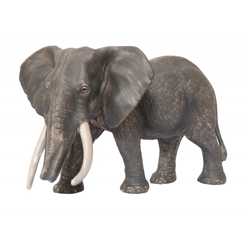 Tiere aus Afrika Tiere aus Afrika