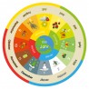 Annual circle counterclockwise for globe