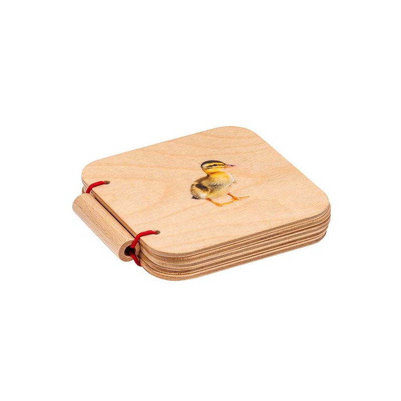 Mein erstes Buch: Haustiere Mein erstes Buch: Haustiere