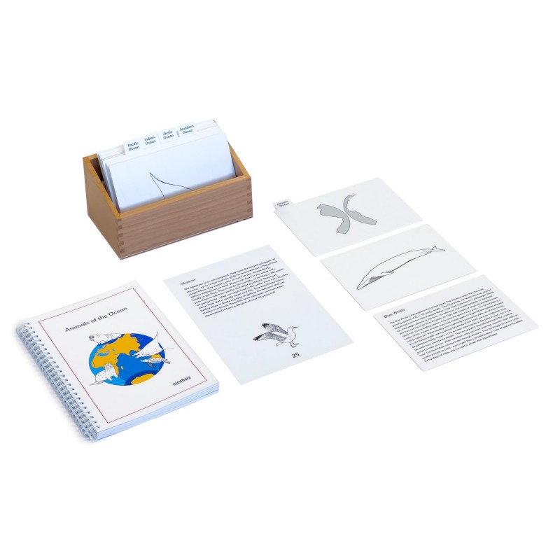 Tiere aus aller Ozeane: Englisch Tiere aus aller Ozeane: Englisch