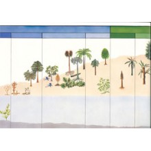 copy of Quer durch Afrika - Der lange Weg zum Geld