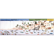 copy of Quer durch Afrika - Der lange Weg zum Geld